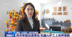 需要全天候照护的失能白叟占到70%